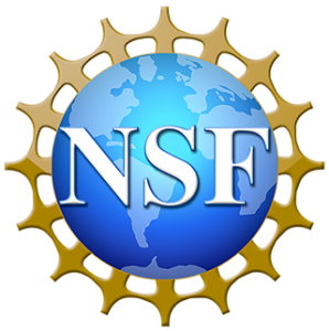 NSF-Logo-1efvspb-298x300